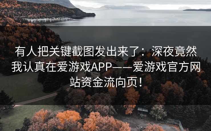 有人把关键截图发出来了：深夜竟然我认真在爱游戏APP——爱游戏官方网站资金流向页！